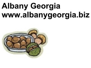 Albany Georgia, www.albanygeorgia.biz